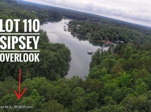 LOT 110 SIPSEY OVERLOOK Dr, Double Springs, AL 35553