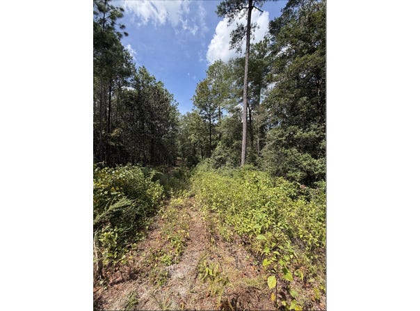 Werlin St, East Brewton, AL 36426