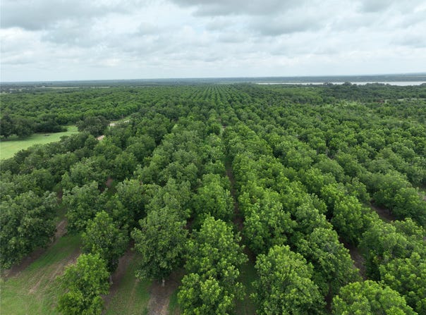 CR 424, Comanche, TX 76442