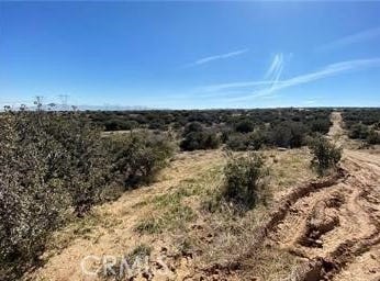 Astina, Phelan, CA 92371
