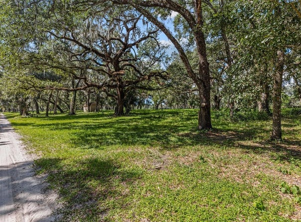 17445 PALMER Lane, SPRING HILL, FL 34610