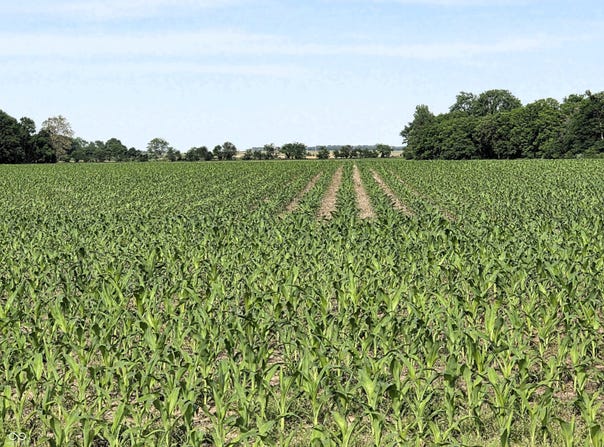 N State Road 75, North Salem, IN 46165