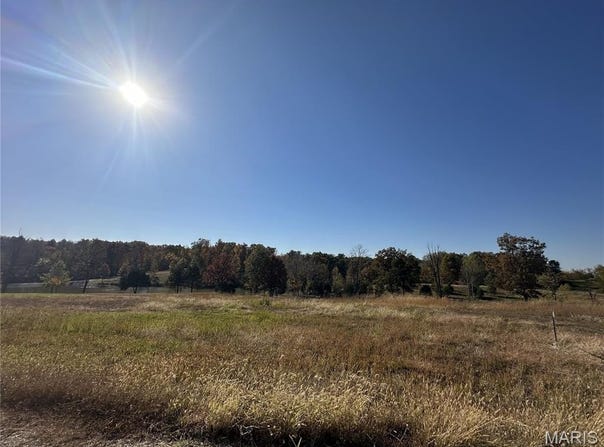 286 Old Wagon Trail, Jackson, MO 63755