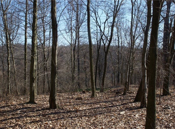Audubon Road, Sewickley Heights, PA 15143