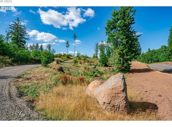 S Silver Lake Rd, CastleRock, WA 98611