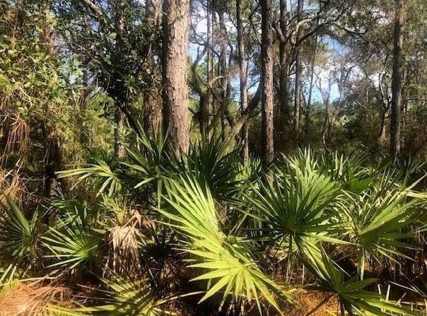 Old Grade Road, FL 33868