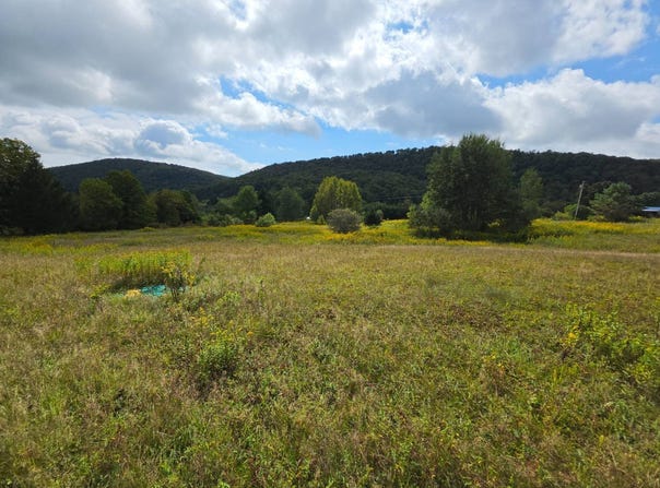 1418 County Rd 16, Smyrna, NY 13832