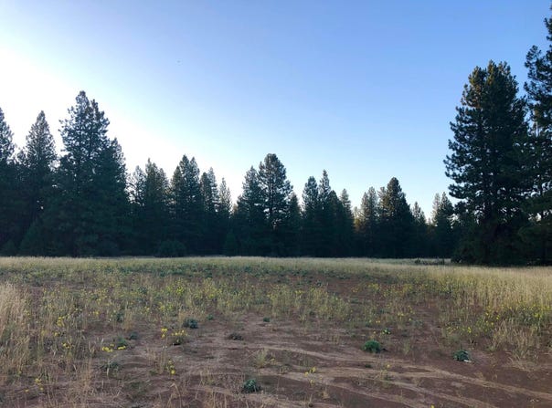 Black Ranch Road, Burney, CA 96013
