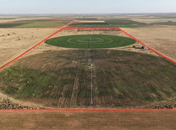 County Rd 181, Brownfield, TX 79316