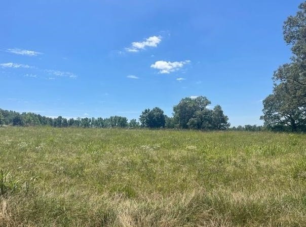 2380 WATKINS Dr, Williston, TN 38076