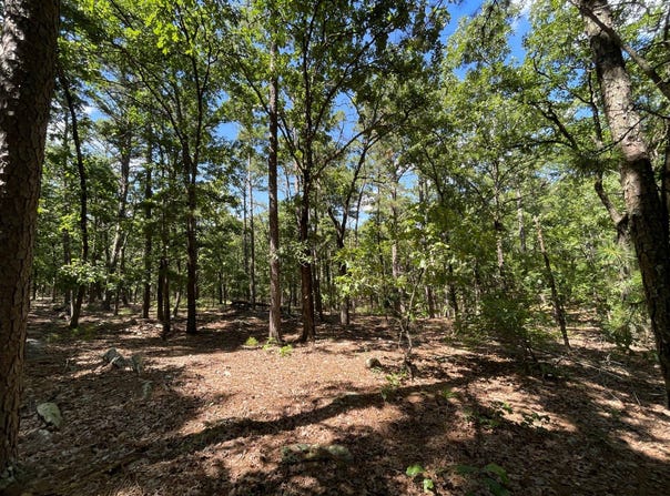 274-A Monkey Wrench Trail, Moyers, OK 74557