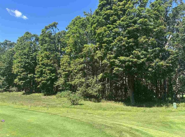 863 Aronimink Drive, Harbor Springs, MI 49740