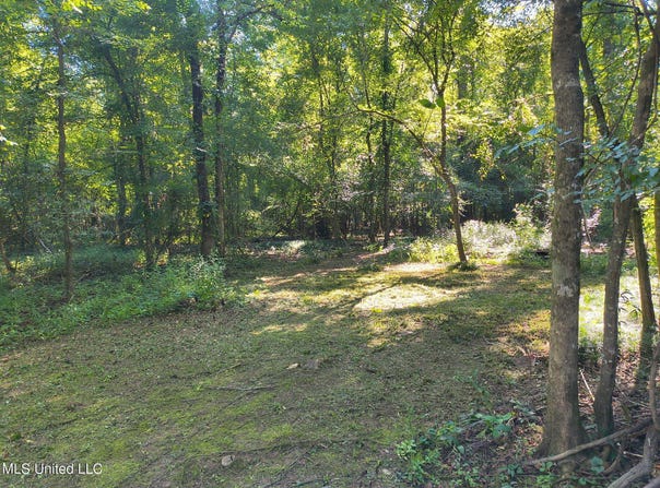 Carter Lake Drive, Lucedale, MS 39452