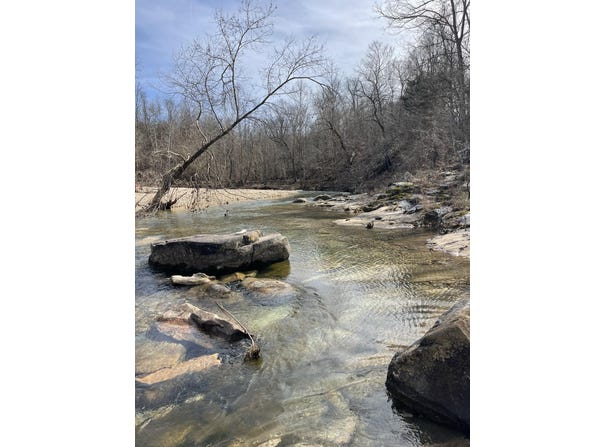 Tract 1 County Road 14-534, Ava, MO 65608