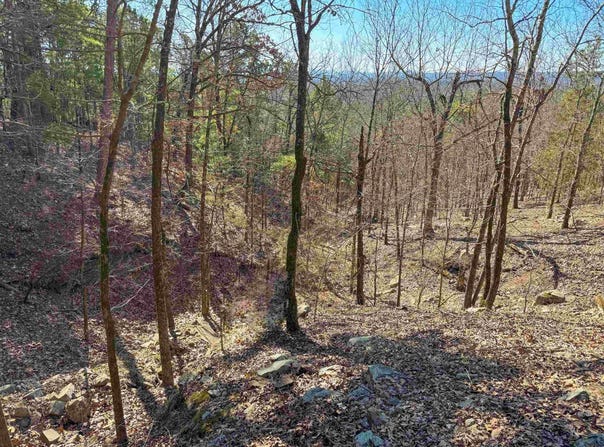2 High Point Drive, Mayflower, AR 72106