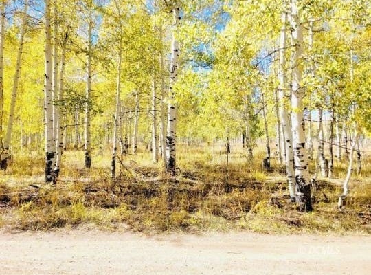 4484 S 2275 E, Cedar City, UT 84720