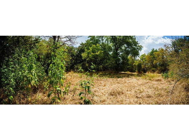 500 College Mound Road, Terrell, TX 75160
