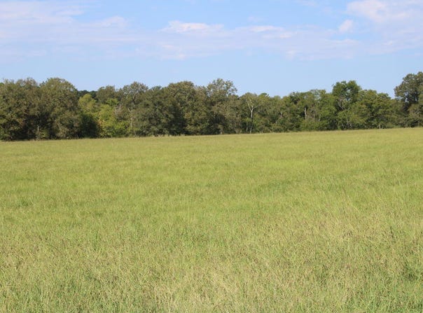 PID 66842 Barnum Loop, Corrigan, TX 75939