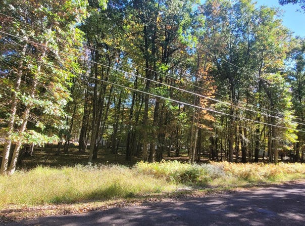 A310 Towamensing Trail & Byron Lane, Albrightsville, PA 18210