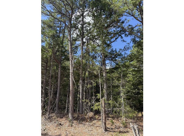 1A County Road 149, Elizabeth, AR 72531