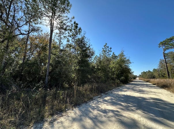 NE 15TH Street, WILLISTON, FL 32696