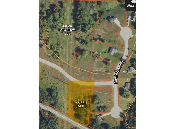 0000 Birch Meadows Lane, Handy Township, MI 48836
