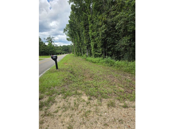 580 SPRING MEADOWS Road, Quincy, FL 32351