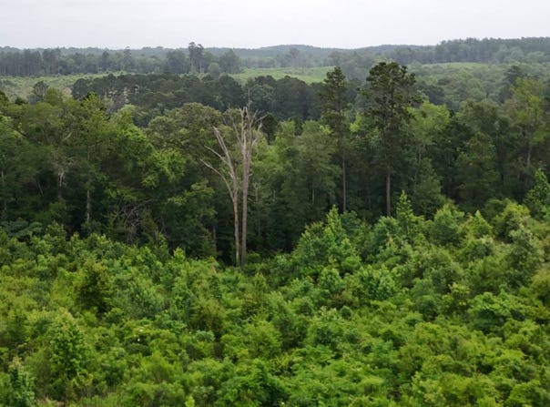 Highline Dr, Zwolle, LA 71486