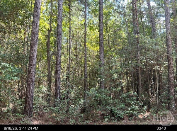 US HWY 80, Bloomingdale, GA 31302