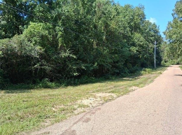 Alma Drive, Wilmer, AL 36687
