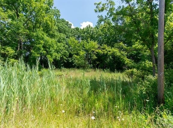 Hollywood lot: 107, Romulus, MI 48174