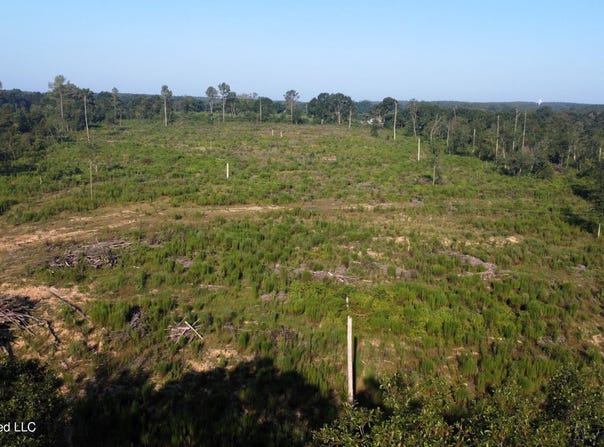 Ebenezer Road, Columbia, MS 39429