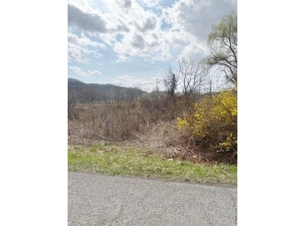 Ramsey Mountain Rd., Max Meadows, VA 24360