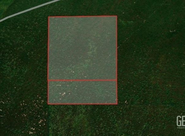 Lost Hills, CA 93249