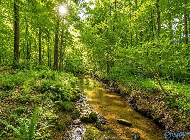 58 Acres Naples Lane, Arab, AL 35016