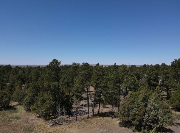 Pine Avenue, Upton, WY 82730