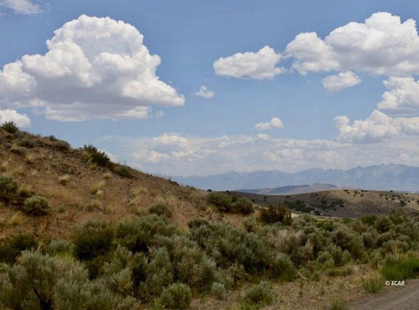 5th Street, Elko, NV 89801