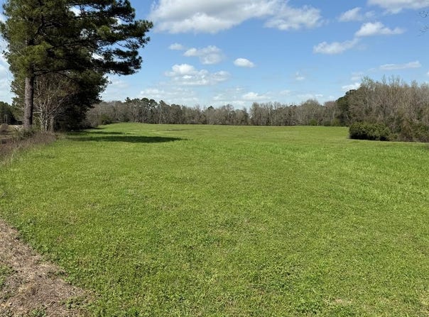 County Road 221, ELBA, AL 36323