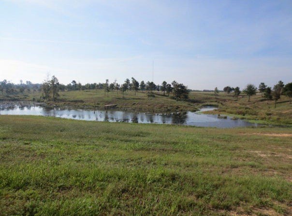 29 Highland Village Drive, ELLISVILLE, MS 39437