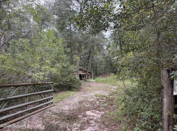 319 Shady Lane, Waynesville, GA 31566