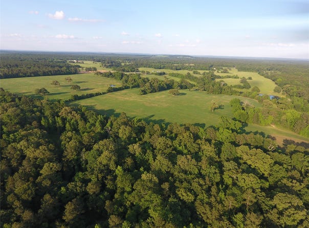 11400 E Fm-321, Palestine, TX 75803