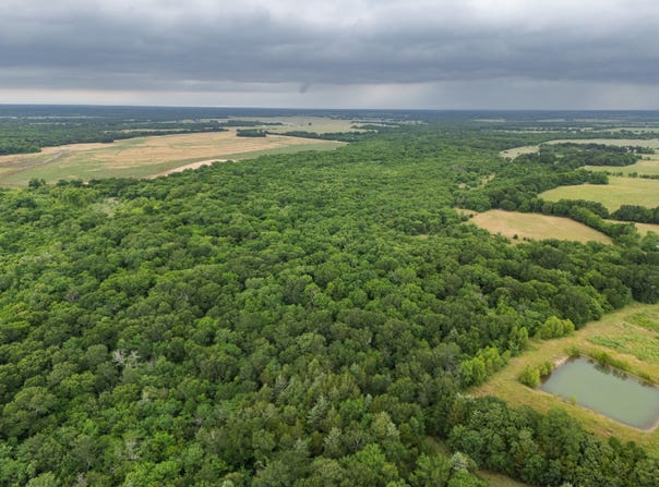 Tract 9 County Road 2158, Cooper, TX 75432