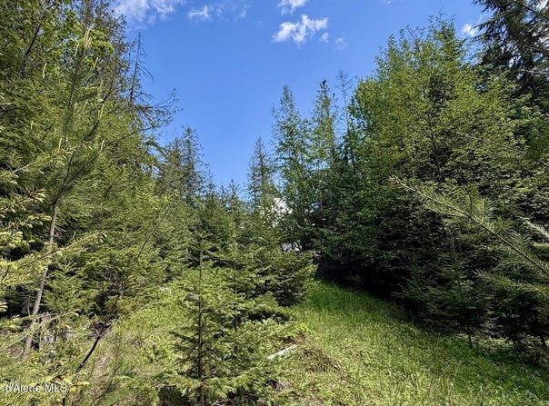 NNA Lot 4 Silver Reef Rd, Sagle, ID 83860