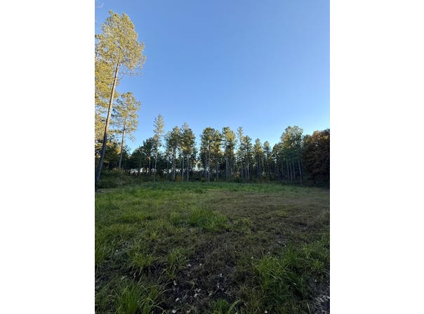 Christian Rd, McCormick, SC 29835