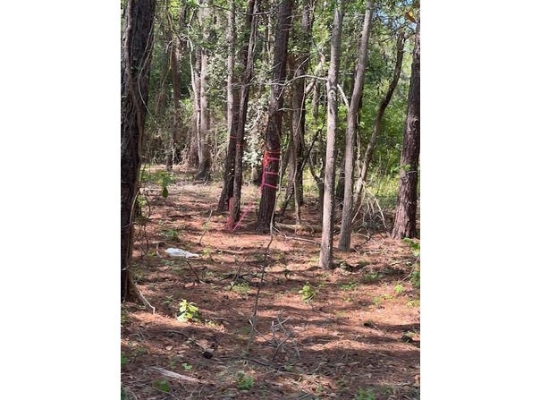 Lucys Lane, Mount Pleasant, SC 29466