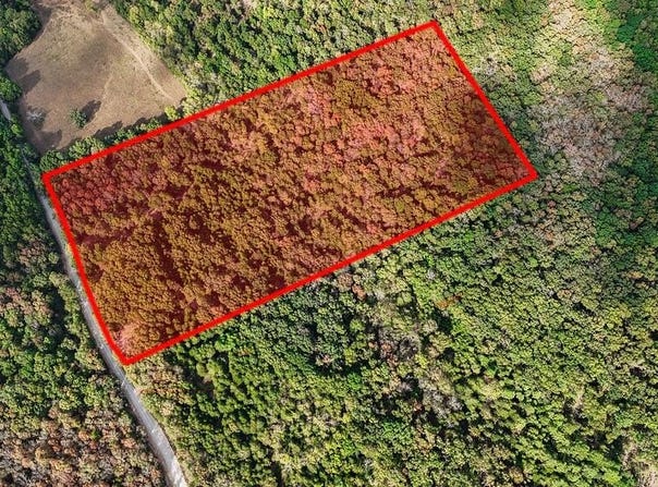 Co Rd 122, Wasola, MO 65773