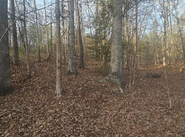 Bishop Road, Pauline, SC 29374