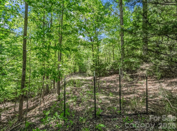 206 Westmoreland Trail, Tryon, NC 28782