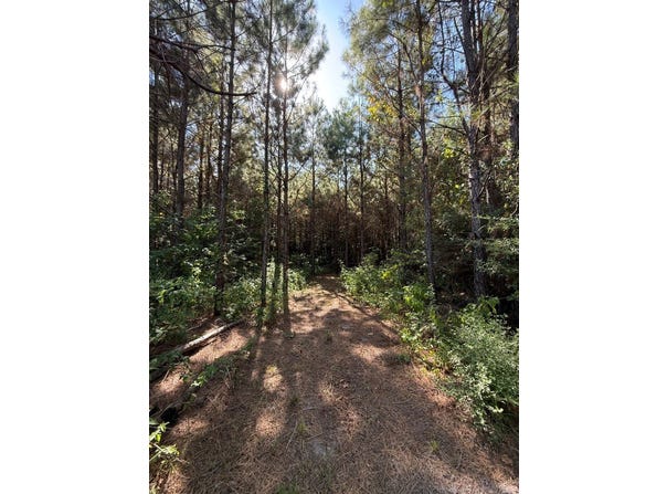 PR 8263, Broaddus, TX 75929