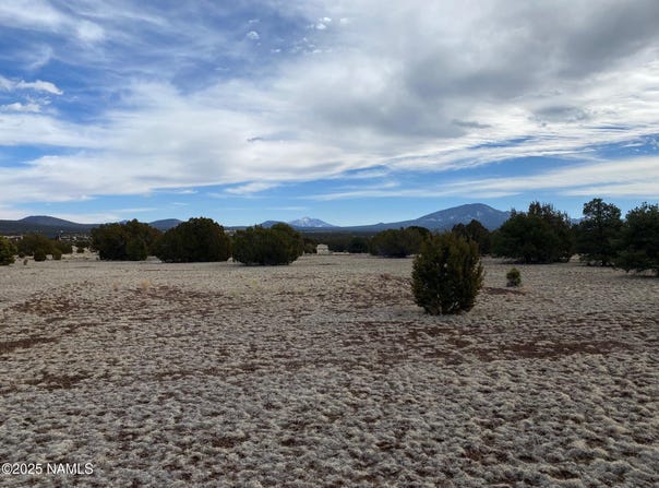 7378 Tulip Trail, Williams, AZ 86046